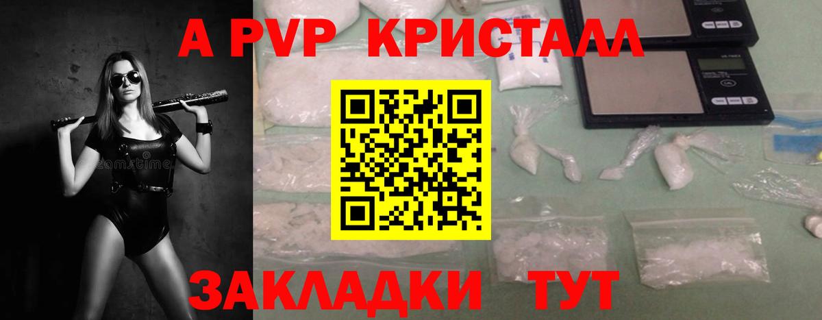 Alfa_PVP крисы CK  Вход с VPN  Тайшет  А ПВП крисы CK 