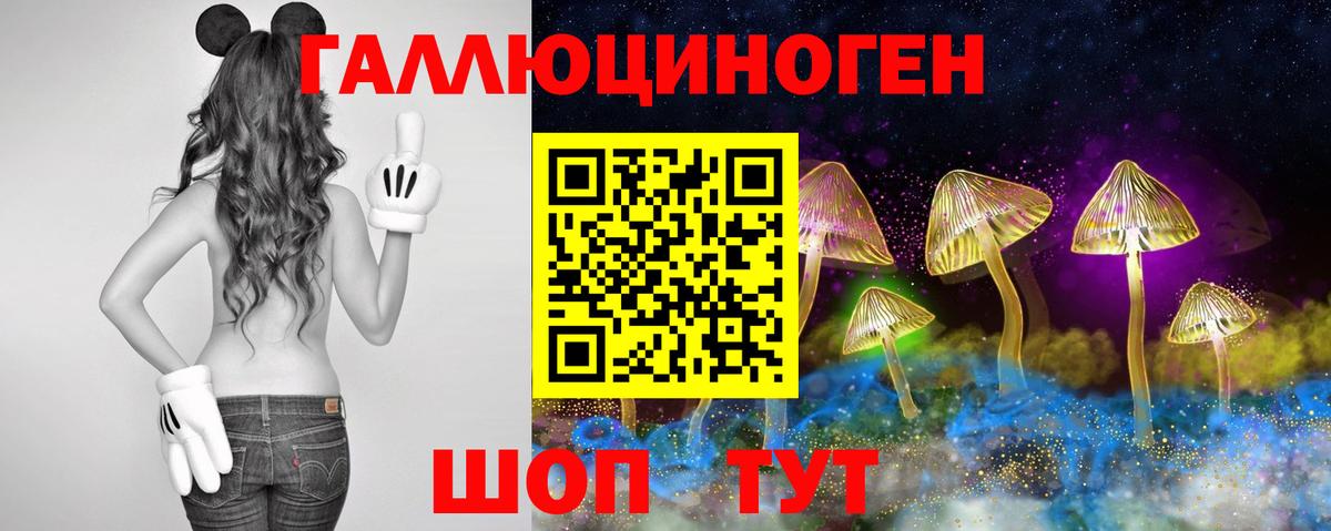Псилоцибиновые грибы Cubensis Тайшет