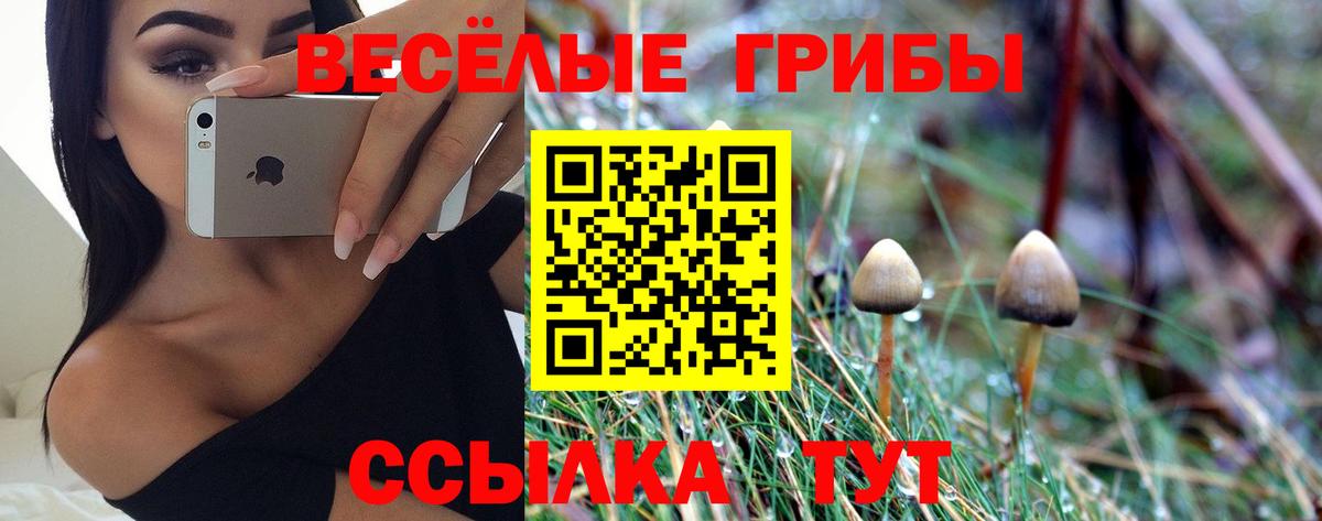 Тайшет  Галлюциногенные грибы GOLDEN TEACHER  Псилоцибиновые грибы прущие грибы  Вход с VPN 